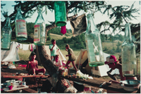 Bertien van Manen book and gallery exhibition this Fall