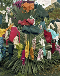 Andrew Moore new monograph Cuba and exhibition Detroit Disassembled