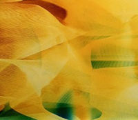 Byran Graf upcoming exhibitions