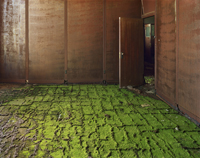 Andrew Moore solo show traveling to Queens Museum of Art this Fall