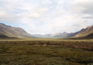 Gallery artists Exhibiting in "The Altered Landscape" at the Nevada Museum of Art