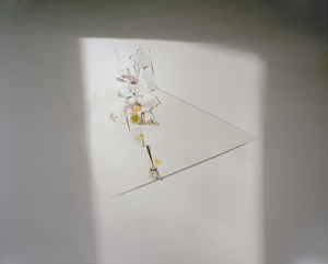 Laura Letinsky at MCA, Chicago; Smart Museum, Chicago; and SCAD Museum, Savannah