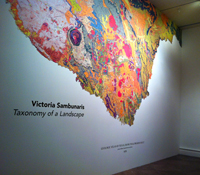 Victoria Sambunaris at Albright-Knox