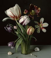 Sharon Core exhibition opens Thursday October 27 at Yancey Richardson Gallery